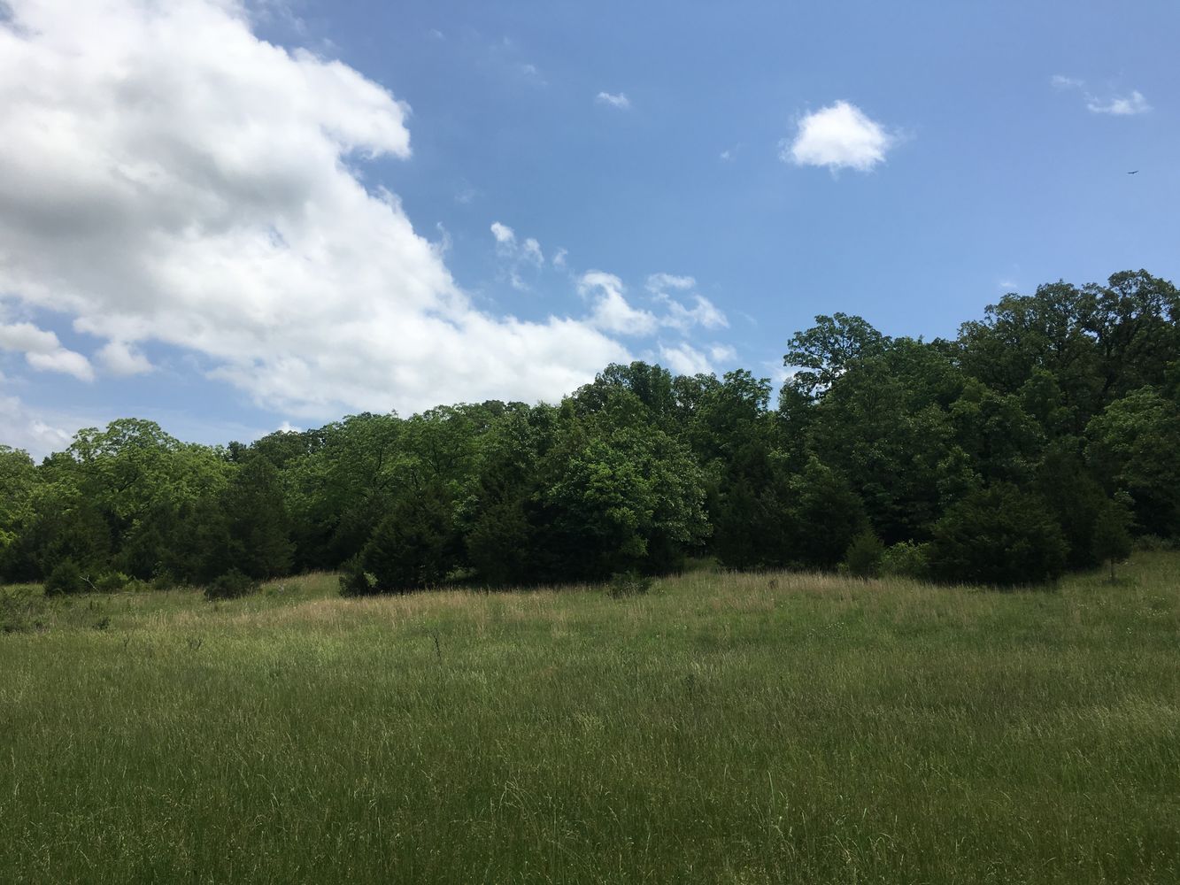 4897 & 4878 Norman Drive, Hartville, MO 65667